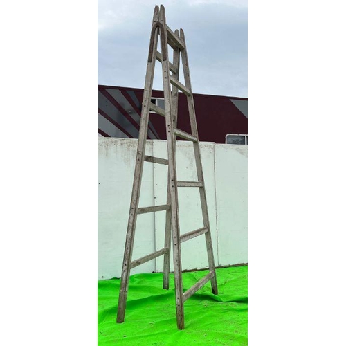 276 - A pair of A frame large ladder scald frames (W370cm)