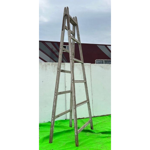 276 - A pair of A frame large ladder scald frames (W370cm)