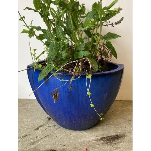 297 - A two tone blue glazed tear drop garden planter