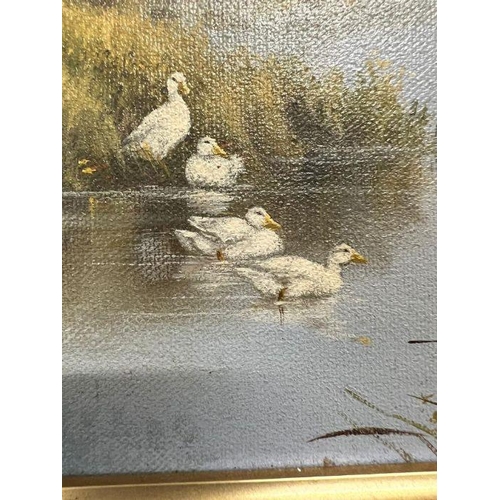 317 - An oil on canvas of a river landscape in Ireland, Signed bottom left 