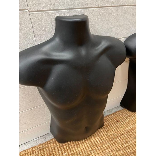 666 - Two mannequin plastic torso