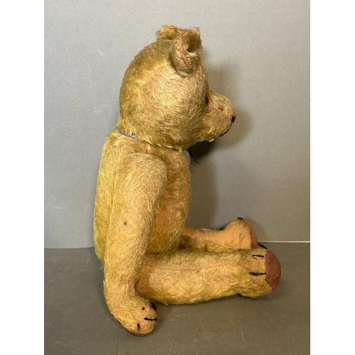 45 - An unusual and early straw filled teddy bear, probably English, perhaps Chiltern, with lovely face, ... 