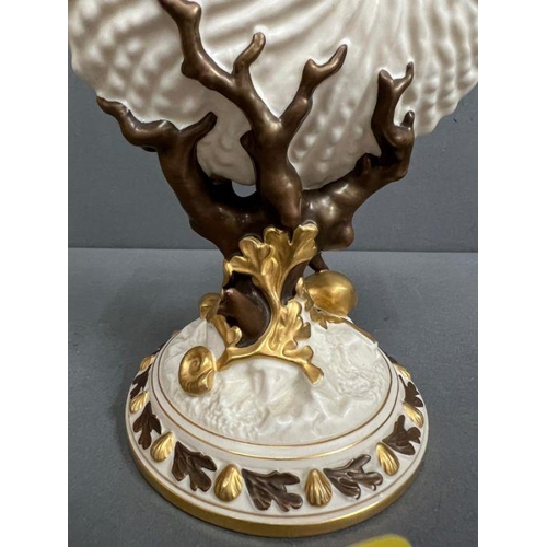 61 - A 19th Century Aesthetic movement Royal Worcester shell vase with perched Salamander. Model Number 4... 