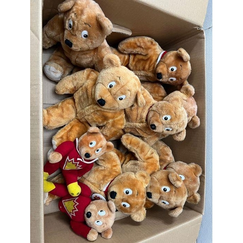 893 - A selection of ten Super Ted soft toys