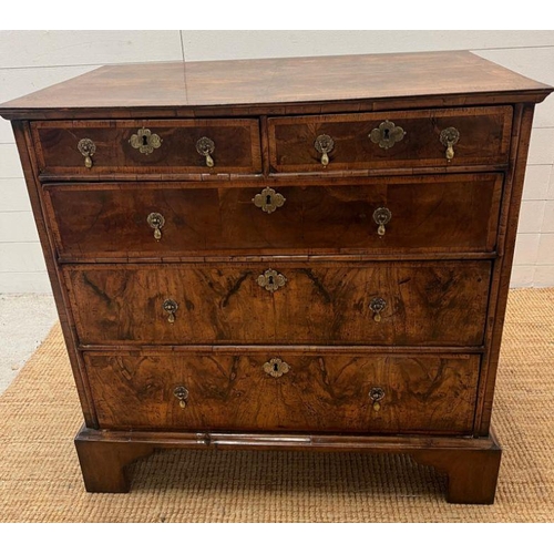 34 - A walnut chest of drawers, two over three with brass drop handles and on bracket feet (Approximate M... 