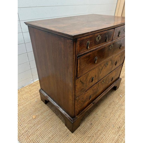 34 - A walnut chest of drawers, two over three with brass drop handles and on bracket feet (Approximate M... 