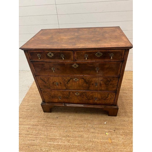 34 - A walnut chest of drawers, two over three with brass drop handles and on bracket feet (Approximate M... 