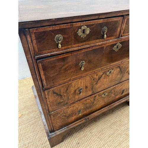 34 - A walnut chest of drawers, two over three with brass drop handles and on bracket feet (Approximate M... 
