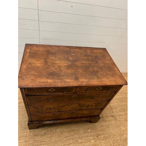 34 - A walnut chest of drawers, two over three with brass drop handles and on bracket feet (Approximate M... 