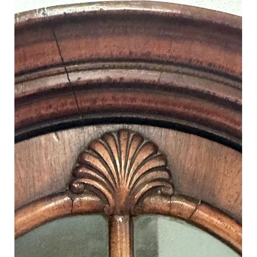 5 - A mahogany dome topped display cabinet with two shelves and cupboard under (H 180cm x D 26cm x W 46c... 