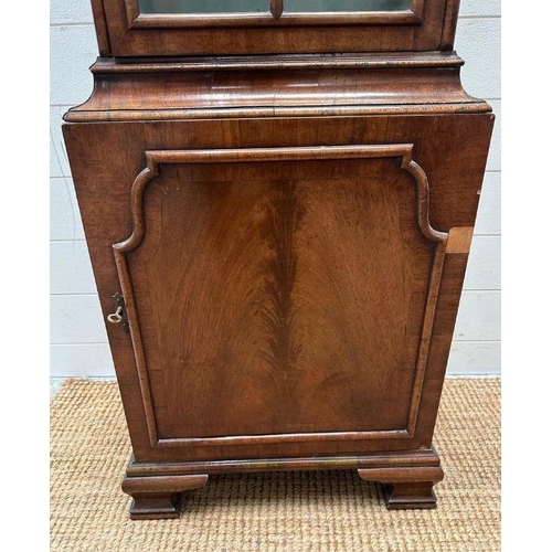 5 - A mahogany dome topped display cabinet with two shelves and cupboard under (H 180cm x D 26cm x W 46c... 