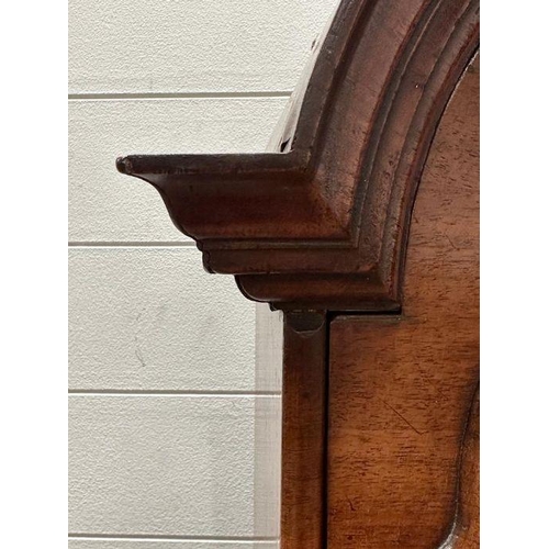 5 - A mahogany dome topped display cabinet with two shelves and cupboard under (H 180cm x D 26cm x W 46c... 