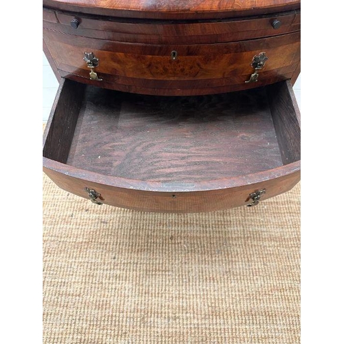 9 - A bow fronted caddy topped chest of four drawers (H 85cm x D 49cm x 61cm)