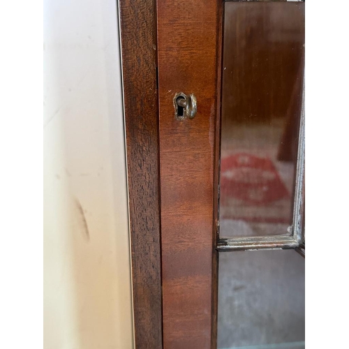 122 - A mahogany glazed display cabinet on raised cabriole legs and bun feet (H123cm W51cm D31cm)