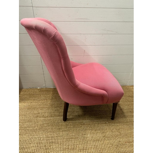 134 - A pink upholstered button back salon chair on turned mahogany legs