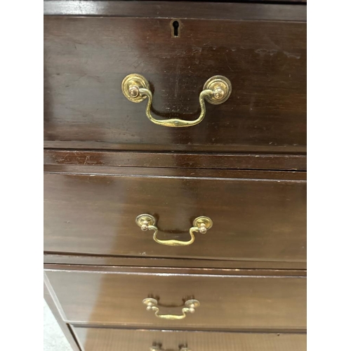 203 - A mahogany two over three chest of drawers with brass drop handles (H105cm W106cm D47cm)