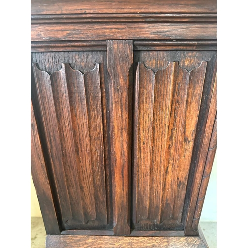 255 - A Belgian oak cabinet (H116cm D41cm W52cm)