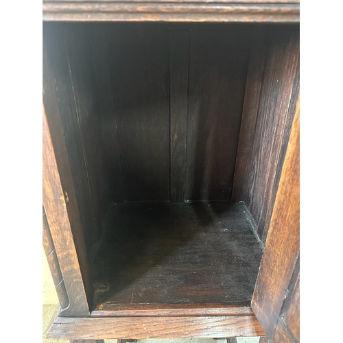 255 - A Belgian oak cabinet (H116cm D41cm W52cm)