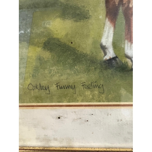 392 - Oil on canvas of 'Oakley Funny Feeling' signed Linda Boddy '94