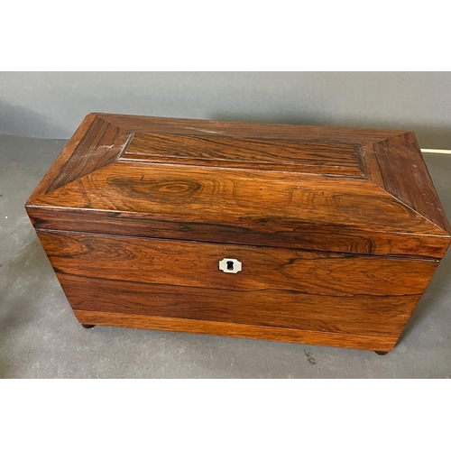 528 - A Rosewood sarcophagus shaped tea caddy with loop handles (32cm x 16cm x 16cm)