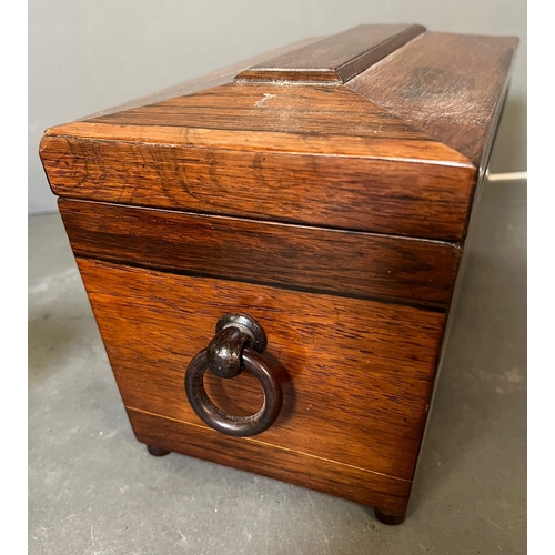 528 - A Rosewood sarcophagus shaped tea caddy with loop handles (32cm x 16cm x 16cm)