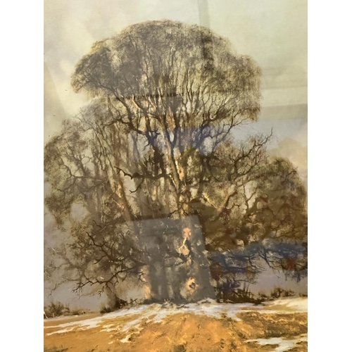 288 - A print of a landscape by David Shephard of a field with an oak tree signed lower right 55cm x 83cm