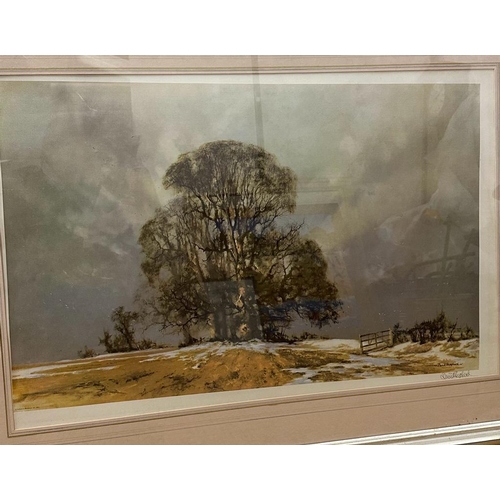 288 - A print of a landscape by David Shephard of a field with an oak tree signed lower right 55cm x 83cm