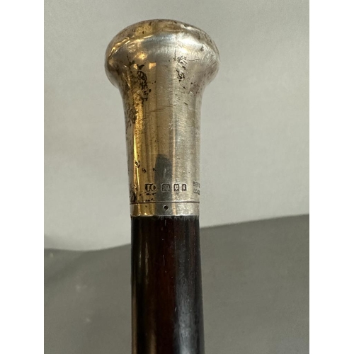 419 - A silver topped ebonised walking cane retailed by Ben Cox of London, hallmarked for London 1924