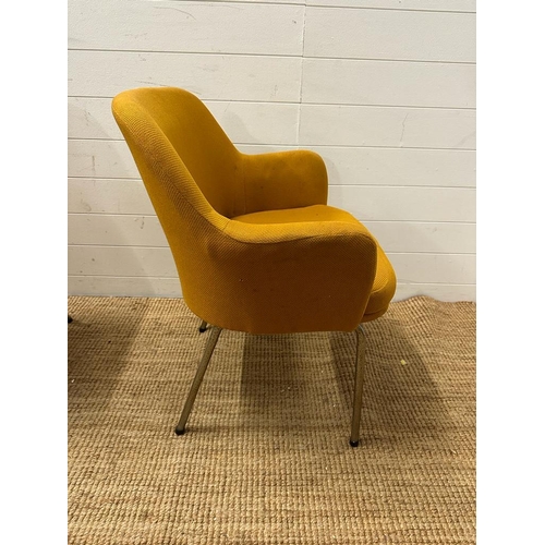 49 - A pair of Mid Century mustard upholstered arm chairs on chrome legs