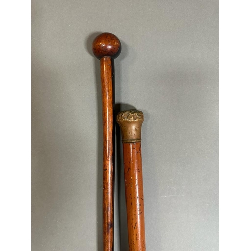 626 - A brass topped swagger or walking stick along with an iron wood Zulu Knobkerrie