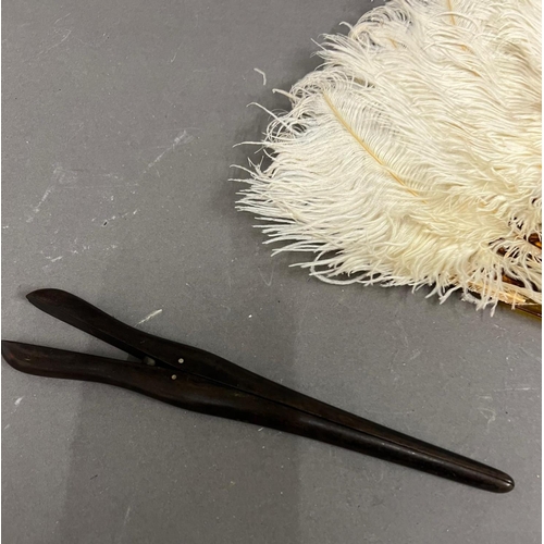 658 - A Victorian ostrich feather fan along with a glove stretcher