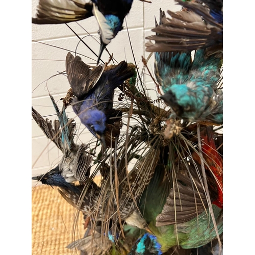 670 - Victorian taxidermy display of birds under a glass dome.