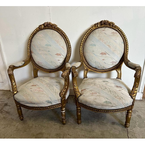 83 - Four gold painted Louis style chairs with scrolling floral upholstery