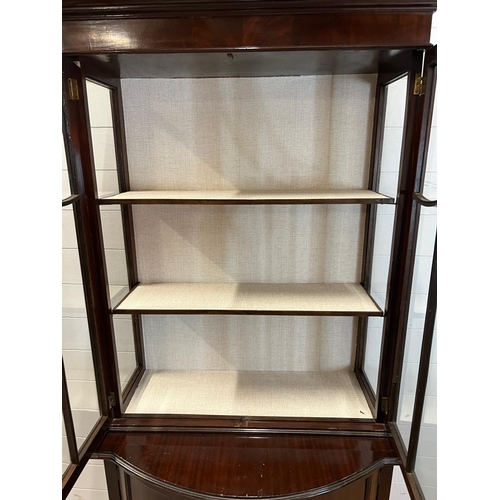 166 - Edwardian mahogany display cabinet (H184cm W76cm D46cm)