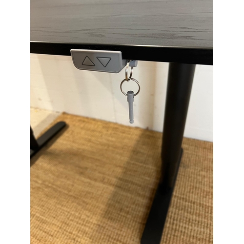 176 - A Bekant Ikea desk with adjustable height (W120cm D80cm)