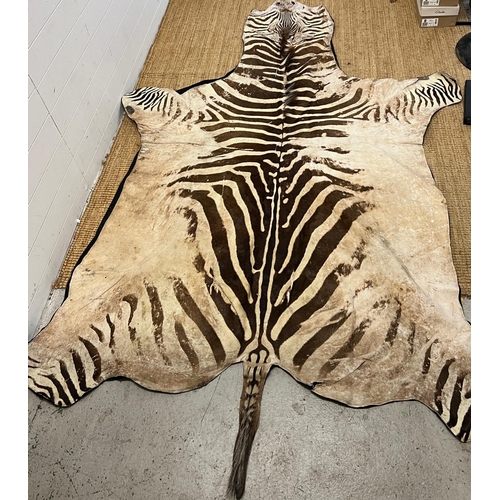 221 - Zebra skin rug (282cm x 180cm)