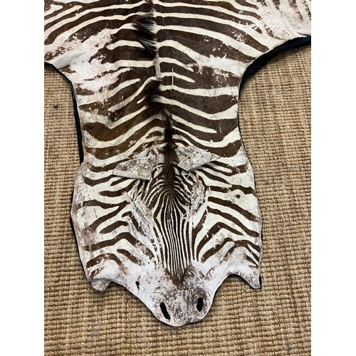 221 - Zebra skin rug (282cm x 180cm)