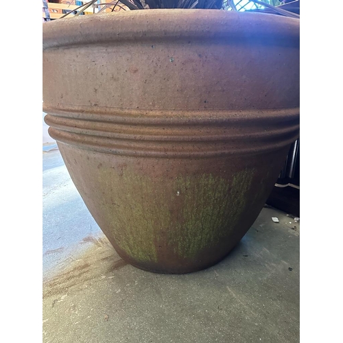 284 - A pair of large terracotta garden planters with ribbed centres (H80cm Dia90cm)