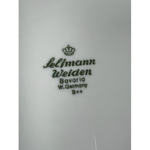 377 - A Seltman Welden Bavaria Jasmin dinner service