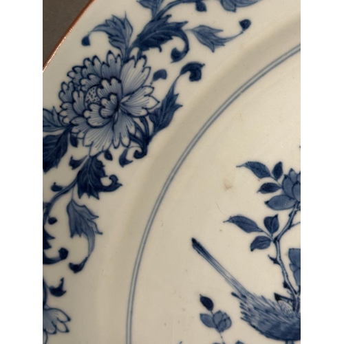 405 - A Chinese Kangxi blue and white bird and peony charger.  Diameter 38cm