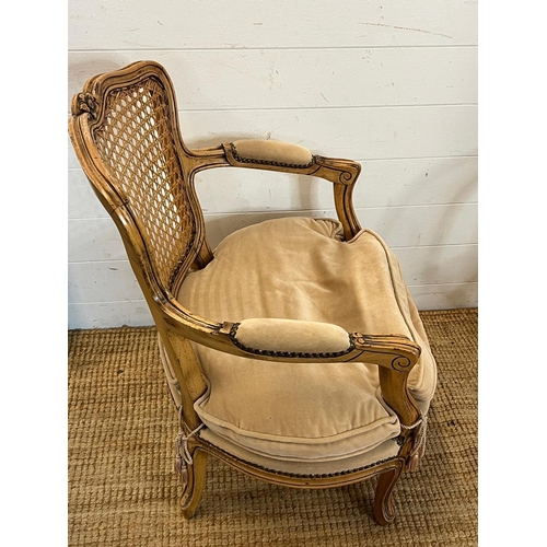 58 - A French style Louis chair with a cane back