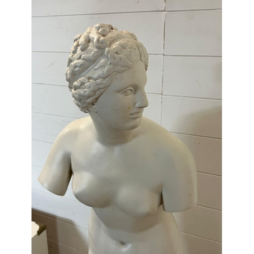 681 - A classical nude figure statue (H130cm)