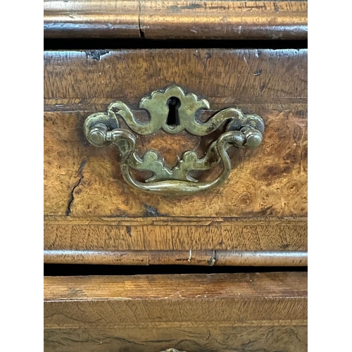 7 - A Queen Anne revival walnut panelled cabinet on two over three chest with block feet, brass handles ... 