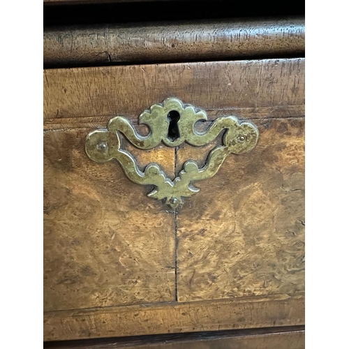 7 - A Queen Anne revival walnut panelled cabinet on two over three chest with block feet, brass handles ... 