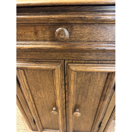 168 - An oak two door panelled side cabinet with single drawer over (H79cm W67cm D30cm)