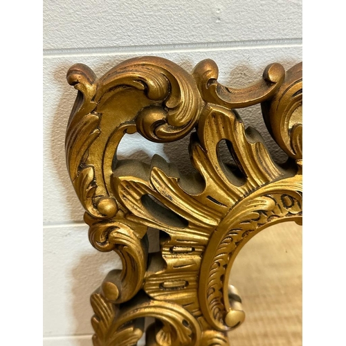 262 - A wooden gold painted mirror in the Rococo style 80cm x 70cm