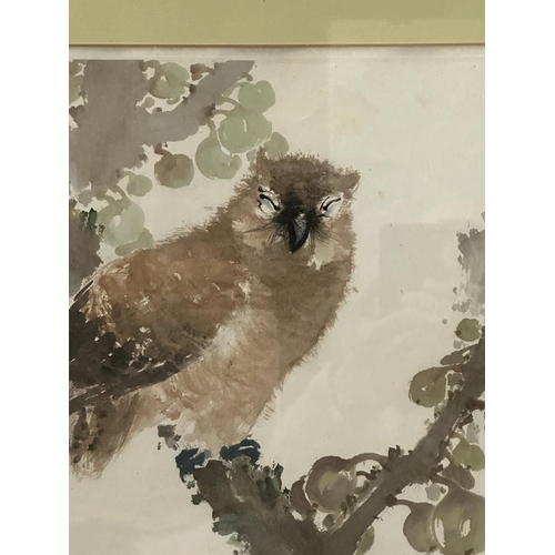 319 - A Japanese print of a Kyosai owl 44cm x 33cm