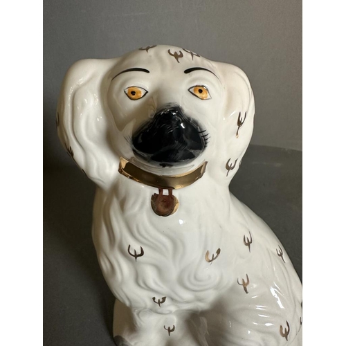 353 - Pair of Staffordshire china dogs