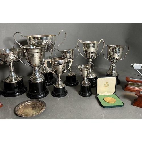 443 - Golf Interest: A wide variety of golf trophies including some from BBC TV Golf Day trophies