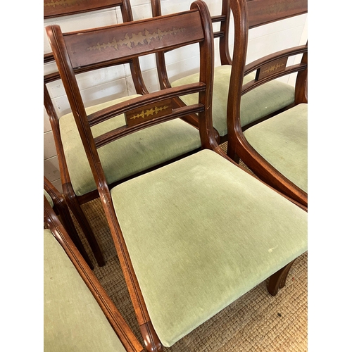 114 - Six Sheraton style dining chairs